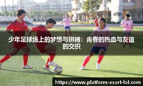 少年足球场上的梦想与拼搏：青春的热血与友谊的交织